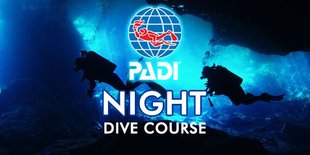 Night Diving