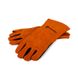 Petromax Aramid Pro 300 Gloves