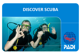 Discover Scuba Diving