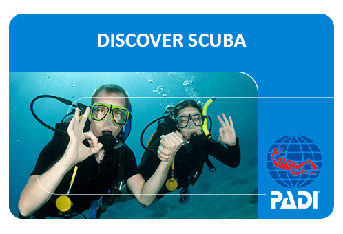 Discover Scuba Diving Пробное погружение с аквалангом в бассейне