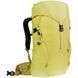 Рюкзак Deuter Climber 22 sprout-linden