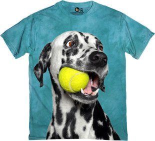 Dalmatian with Ball &ndash; 3300051 S