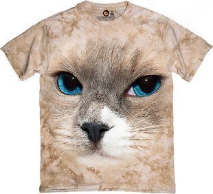 Blue Eyes Cat &ndash; 3300089 S