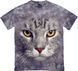Silver Cat &ndash; 330003 S