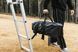 Biolite Solar Carry Cover black