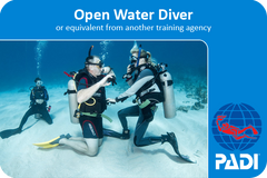 Open Water Diver Basic Diving Course