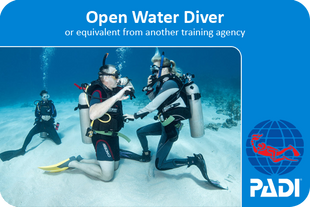 Open Water Diver Basic Diving Course