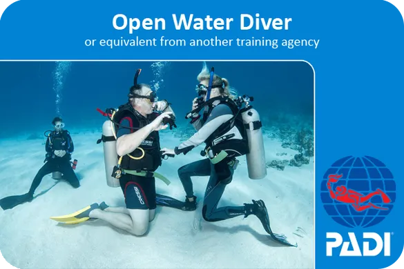 Open Water Diver Базовый курс дайвинга