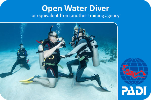 Padi open water diver. Open Water Diver сертификат. Сертификат OWD Padi. Padi open Water. Сертификат Padi open Water.