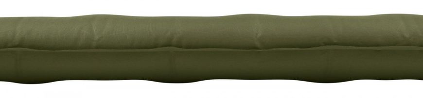 Sea To Summit Self Inflating Camp Plus Mat Large, Moss
