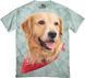 Cowboy Golden Retriever &ndash; 3300054 S