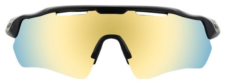 Сонцезахисні окуляри TYR Hayes HTS Gold/Black